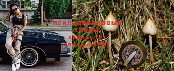 прущие крисы Алексеевка