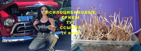 прущий лед Алексин